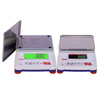 Electronic Analytical Balance