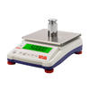 Electronic Analytical Balance